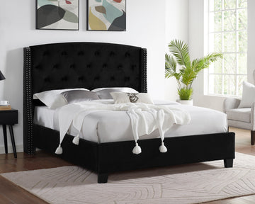 5111BK-ALL EVA BED BLACK